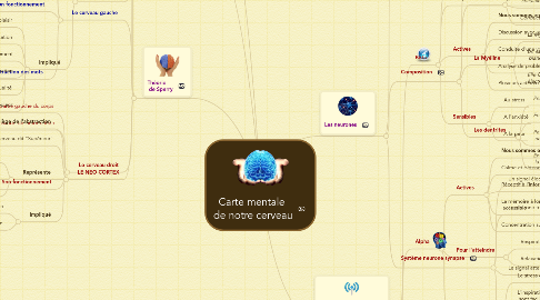 Mind Map: Carte mentale de notre cerveau